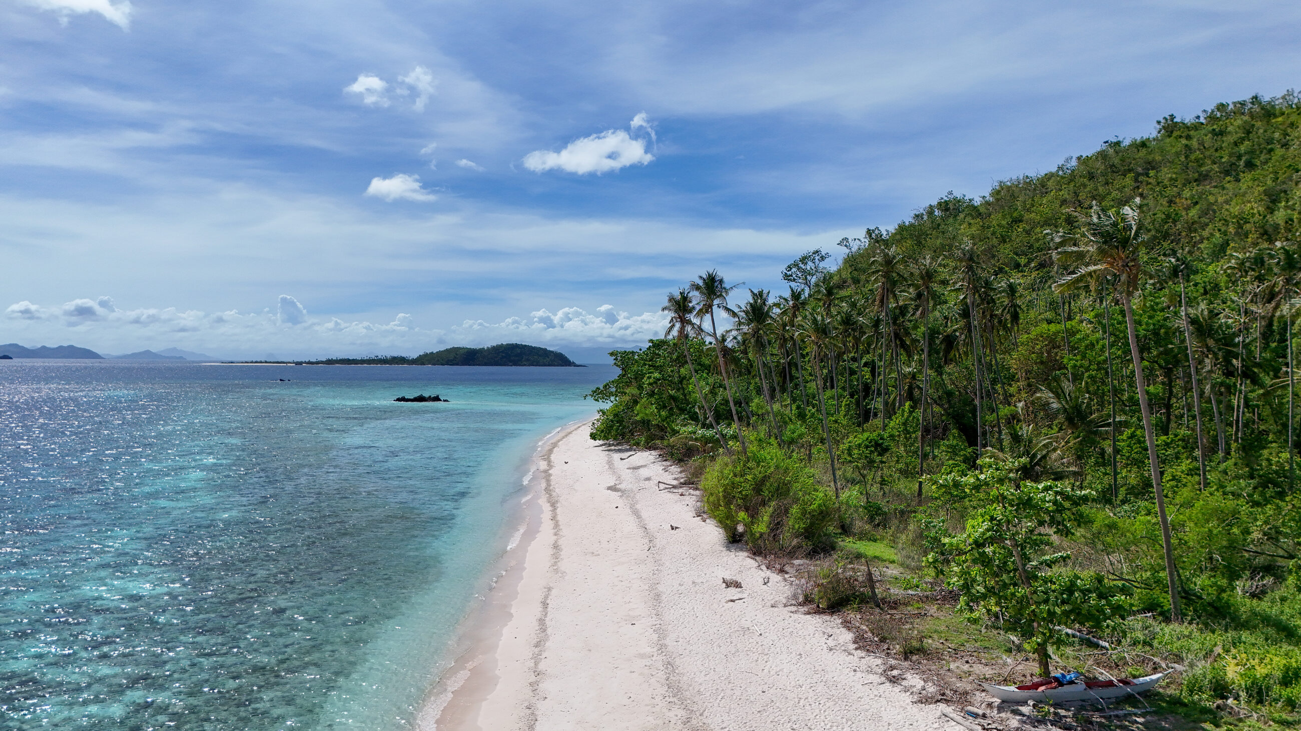 Aerial view of a white sand beach lined with palm trees