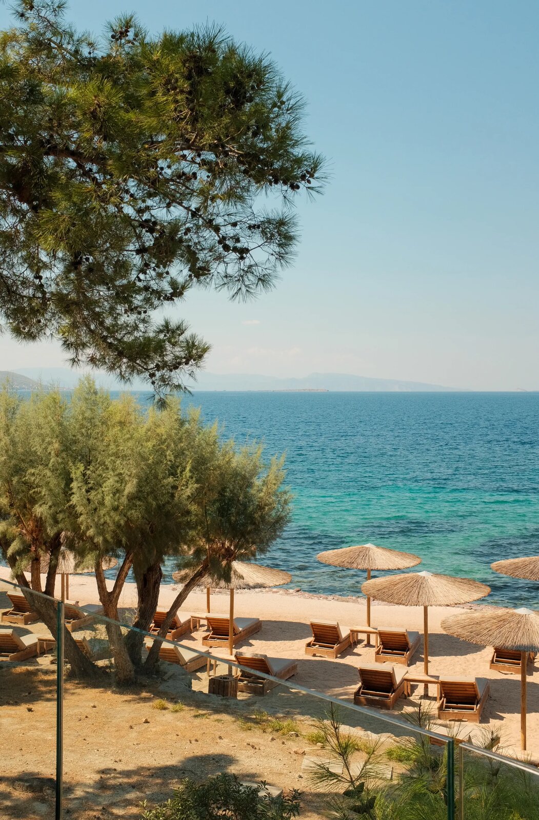 Straw beach umbrellas and sun loungers under a pine tree by the sea