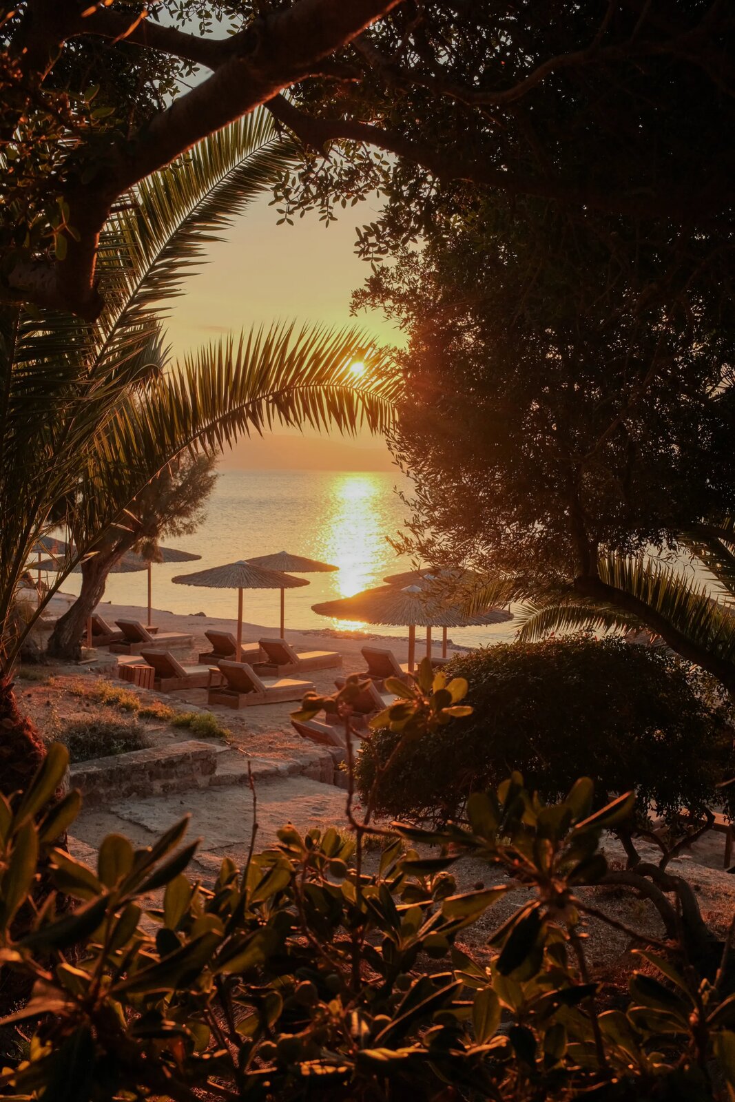 Sunset over the sea framed by palm leaves and beach umbrellas